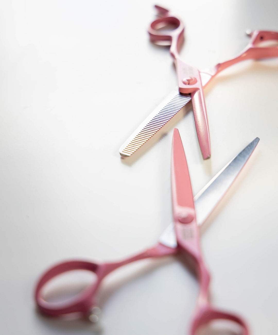 Starter Collection Pink + Bundel